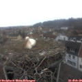 10_05-nest.jpg