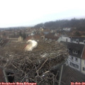 10_10-nest.jpg
