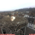 10_15-nest.jpg