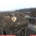 10_20-nest.jpg