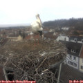 10_25-nest.jpg