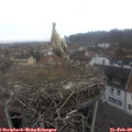 10_30-nest.jpg