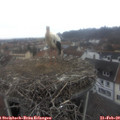 10_35-nest.jpg