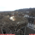 10_40-nest.jpg