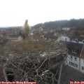 10_45-nest.jpg