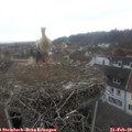 10_55-nest.jpg