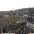11_15-nest.jpg