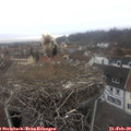 11_25-nest.jpg