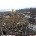 11_30-nest.jpg