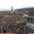 11_35-nest.jpg