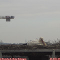 11_40-mast.jpg