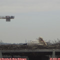 11_45-mast.jpg
