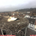 11_50-nest.jpg