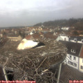 11_55-nest.jpg