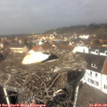12_00-nest.jpg
