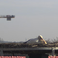 12_05-mast.jpg