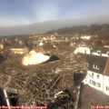 12_10-nest.jpg