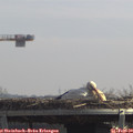 12_15-mast.jpg