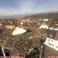 12_15-nest.jpg