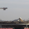 12_20-mast.jpg