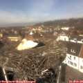 12_20-nest.jpg