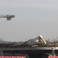12_25-mast.jpg