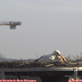 12_30-mast.jpg
