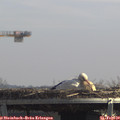 12_40-mast.jpg