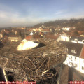 12_40-nest.jpg