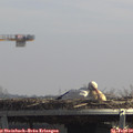 12_45-mast.jpg