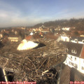 12_45-nest.jpg