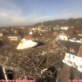 12_50-nest.jpg