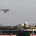 12_55-mast.jpg