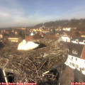 12_55-nest.jpg
