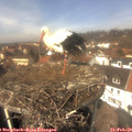 13_00-nest.jpg