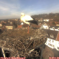 13_05-nest.jpg