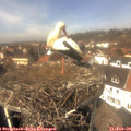 13_10-nest.jpg