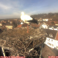 13_15-nest.jpg