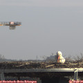 13_20-mast.jpg