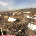 13_20-nest.jpg