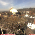 13_25-nest.jpg