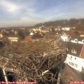 13_30-nest.jpg