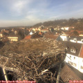 13_50-nest.jpg