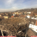 13_55-nest.jpg