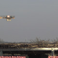 14_05-mast.jpg