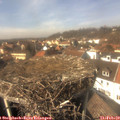 14_05-nest.jpg