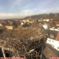 14_10-nest.jpg