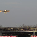 14_15-mast.jpg