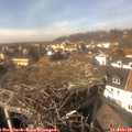 14_15-nest.jpg