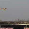 14_20-mast.jpg